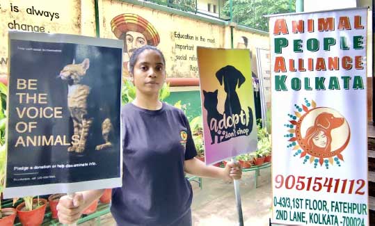 Animal People Alliance volunteer in Kolkata holds two advocacy posters, one reading “Be the Voice of Animals” with a photo of a cat, and another promoting adoption over buying pets, beside an APA banner with contact details.