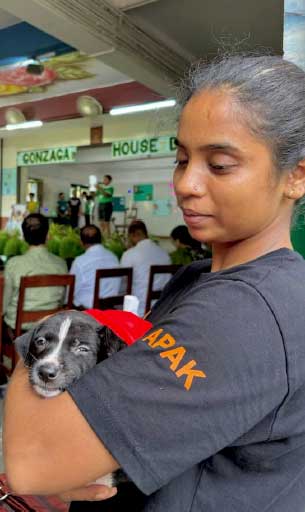 Animal People Alliance volunteer cradles a black-and-white puppy in her arms during a community event in Kolkata, with people seated and a stage in the background.