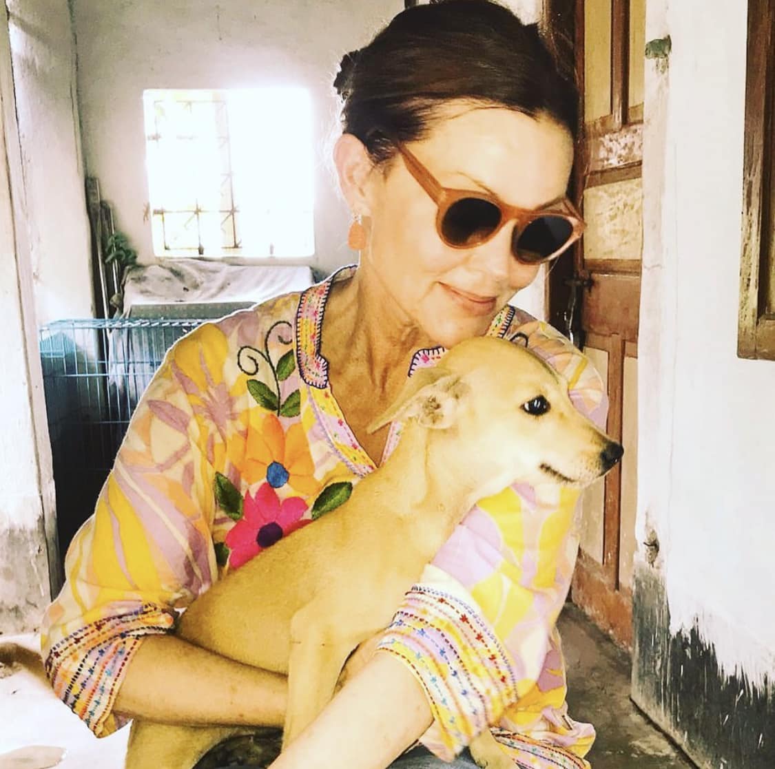 Co-Founder Belinda Carlisle wearing sunglasses and a colorful floral embroidered blouse holding a small tan dog indoors, smiling gently at the animal.