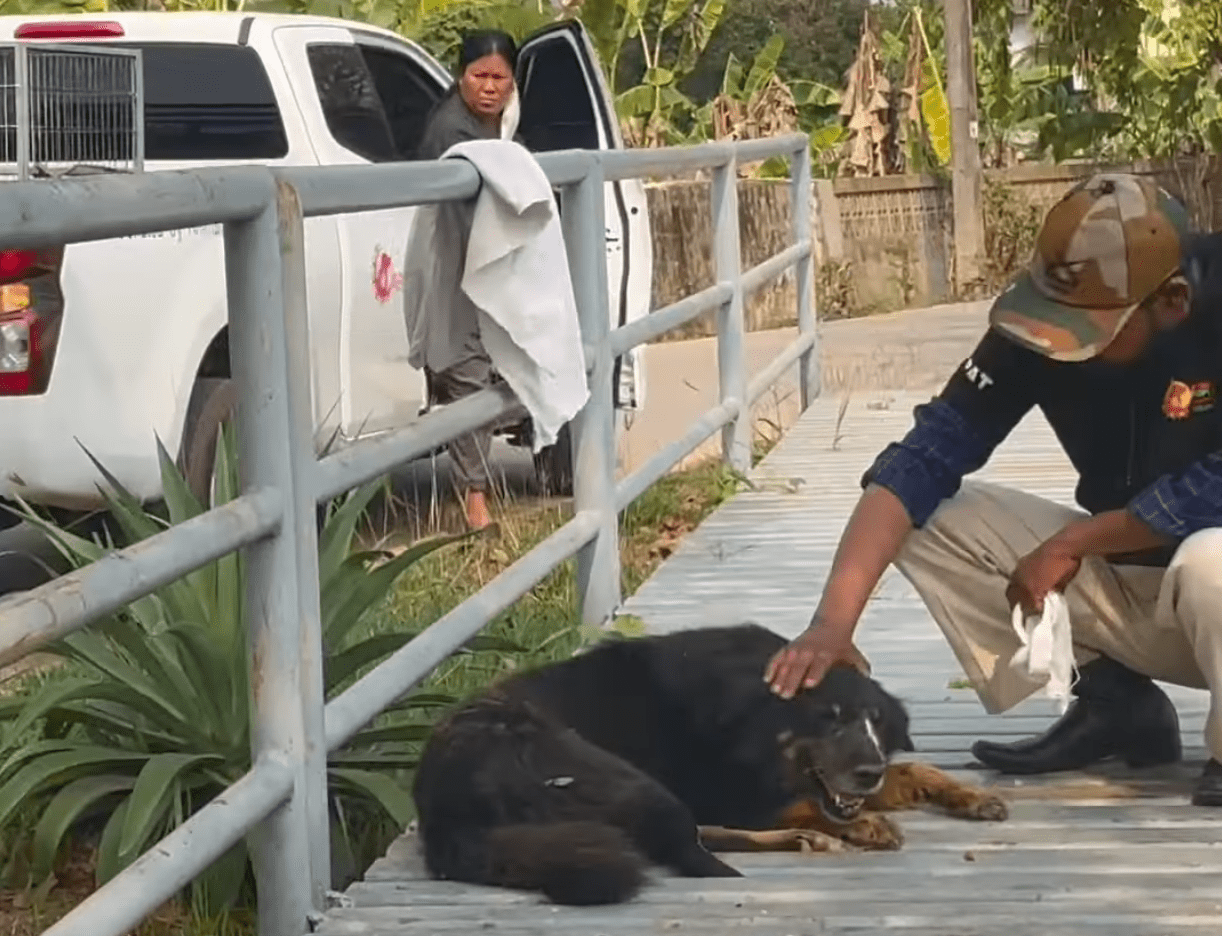 Man kneels on a wooden walkway, gently petting a black dog lying down, while a woman stands by a white pickup truck in the background holding a towel.