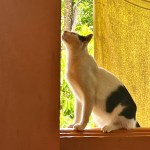 IMG_9331