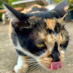 IMG_9896