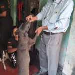 IMG-20260925-WA0017