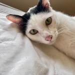 IMG_4116